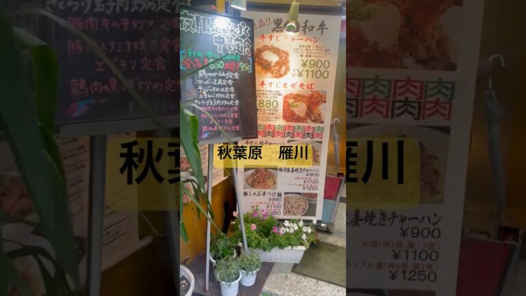 秋葉原　雁川　あんかけチャーハン　#秋葉原 #炒飯