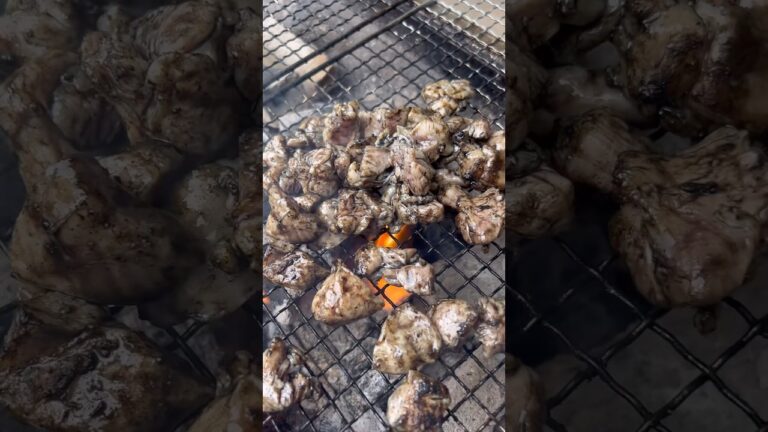 【料理】ちゃんと炭で作る鶏の炭火焼き　#shorts #炭火焼き #鶏肉