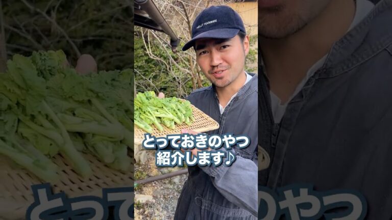 春の訪れ！とっておきの菜の花のレシピ紹介します