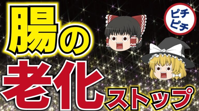 【ゆっくり解説】40代50代の腸を若返らせる日本の伝統的な食べ物とは！【うわさのゆっくり解説】
