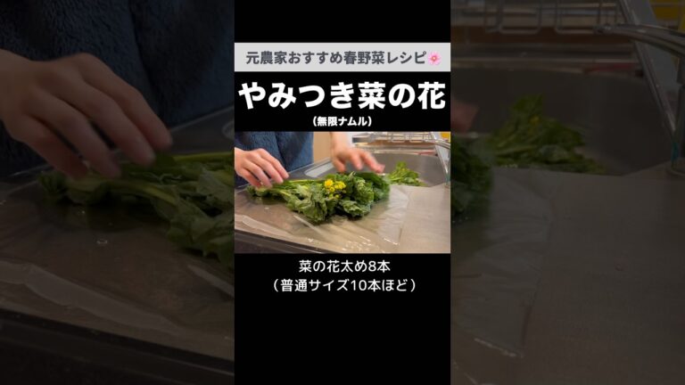 箸がどんどん進む菜の花のナムル｜手軽に旬を楽しむレシピ