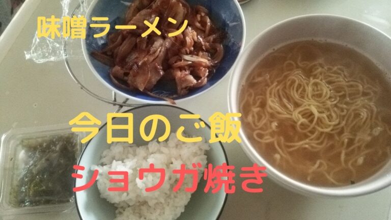 味噌ラーメン　しょうがやき　雌株　ごはん