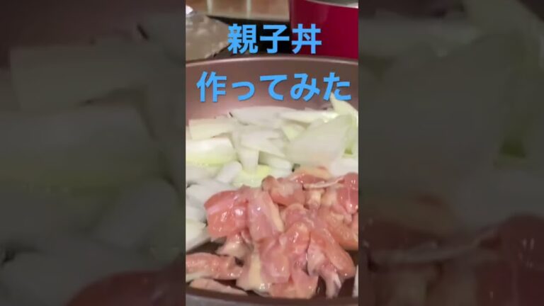 【簡単レシピ】味付けは白だし、醤油、砂糖　卵でとじる#簡単レシピ #料理初心者 #自炊レシピ #親子丼