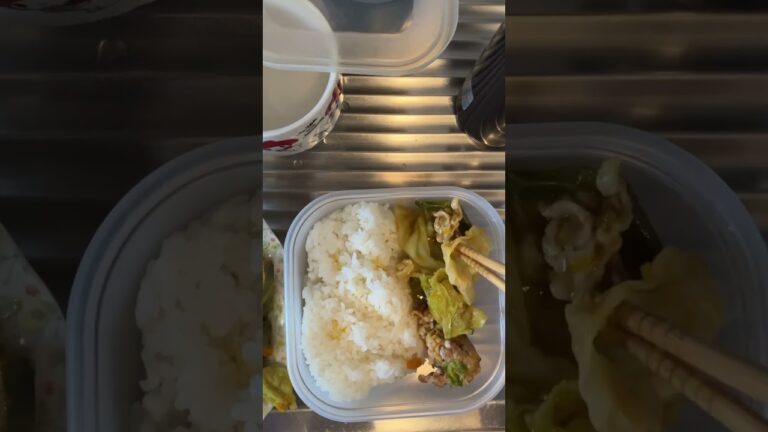 【弁当】野菜炒め【社会人】