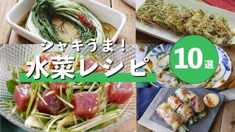 【簡単＆絶品】水菜レシピ10選！サラダ・炒め物・煮物まで大活躍♪