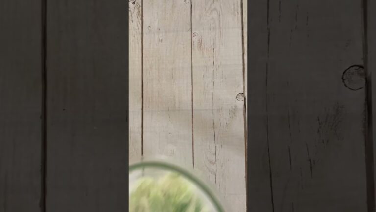 給食にありそう！キャベツのツナサラダ