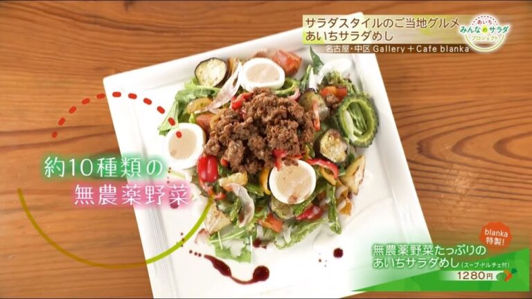 無農薬野菜たっぷりの「あいちサラダめし」｜あいち みんなのサラダ