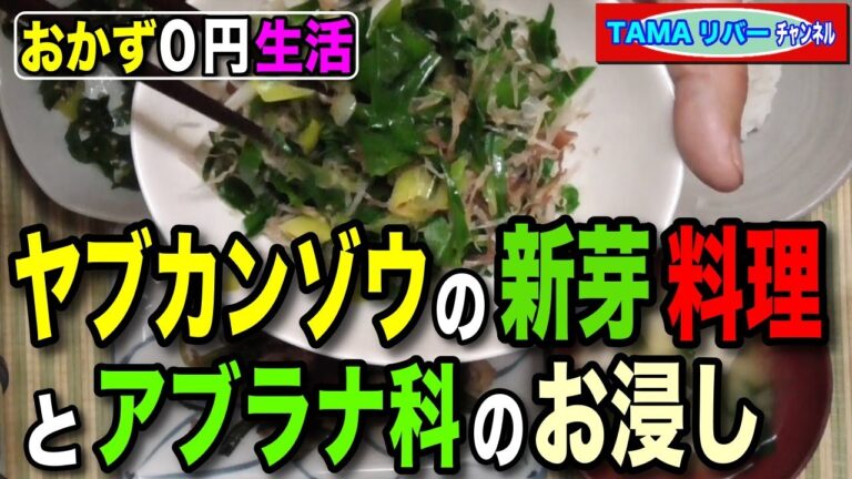 【おかず0円生活】ヤブカンゾウの新芽料理とアブラナ科のお浸し
