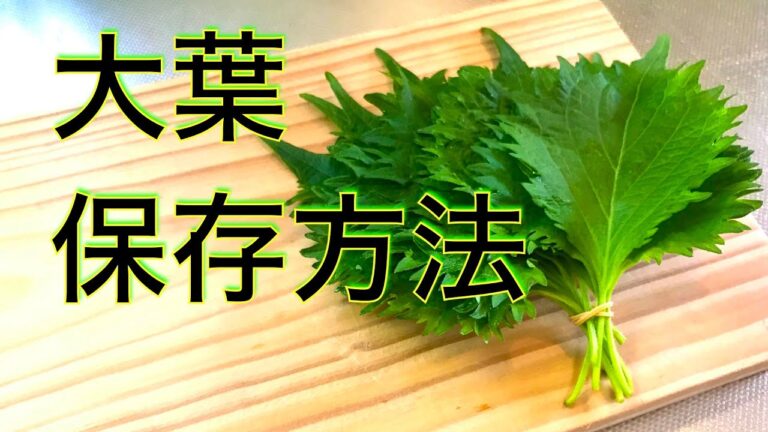 大葉の保存方法　香り風味豊かな大葉　飾りに活躍する〜