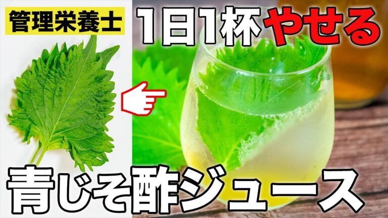 【青じそジュースで痩せるならこれ！】簡単２つの材料！毎日1杯の健康飲料 大葉ジュースとシソの活用法を管理栄養士が紹介