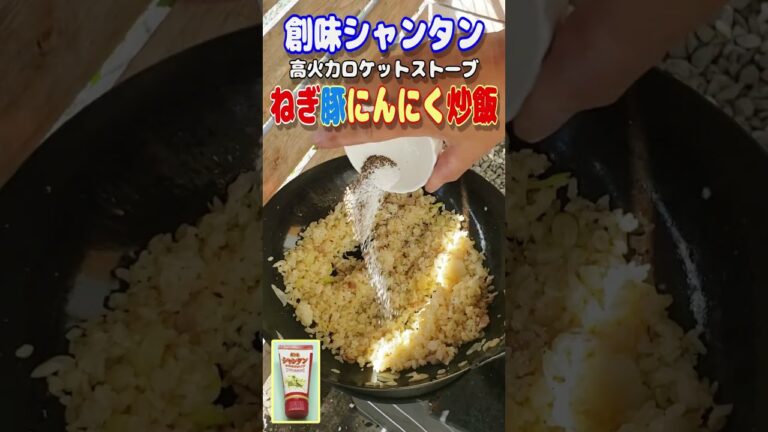 【炒飯まにあ】創味シャンタンでねぎ豚にんにく炒飯作ります。
