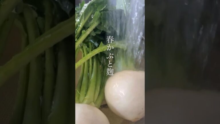 【春かぶと麹】皮まで美味しい春のかぶを丸ごと使った麹の旨みたっぷりの浅漬けです。