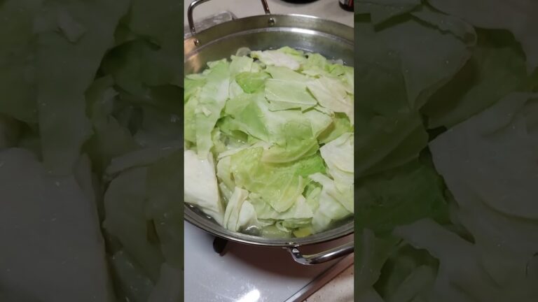 白菜よりキャベツ#鍋 #キャベツ #お昼ごはん