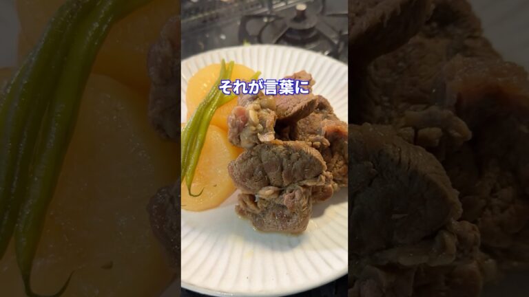 幼稚園の英才教育feat.牛すね肉と大根煮込み #shorts #料理