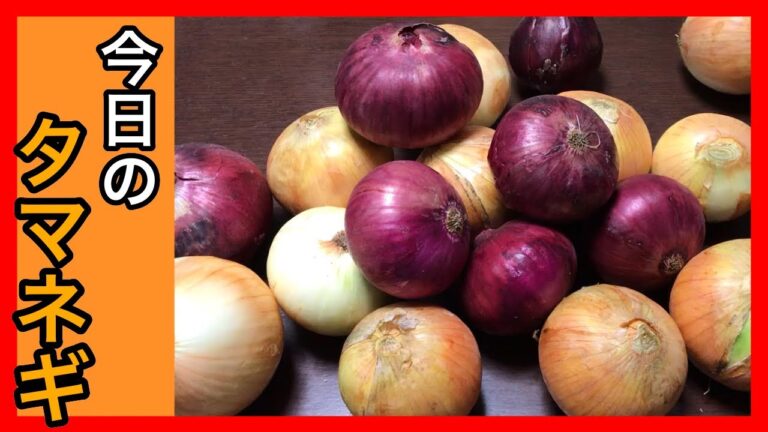 【料理／1日2食】玉ねぎ大量に貰ったから朝ごはんは毎日玉ねぎ。