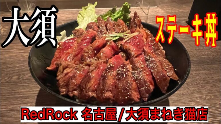 愛知【名古屋ランチ】大須でステーキ丼をガッツリ食べたい方にオススメ！レッドロック 名古屋【japan Aichi nagoya nakaku steak lunchi