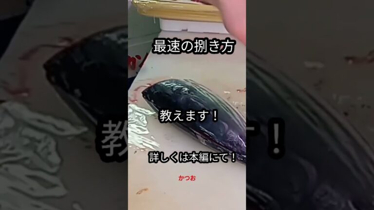 #shorts #簡単 #チャレンジ #魚 #fish #カツオ #捌き方 #最速 #ミッション #千葉県 #魚 #美味しい #sea
