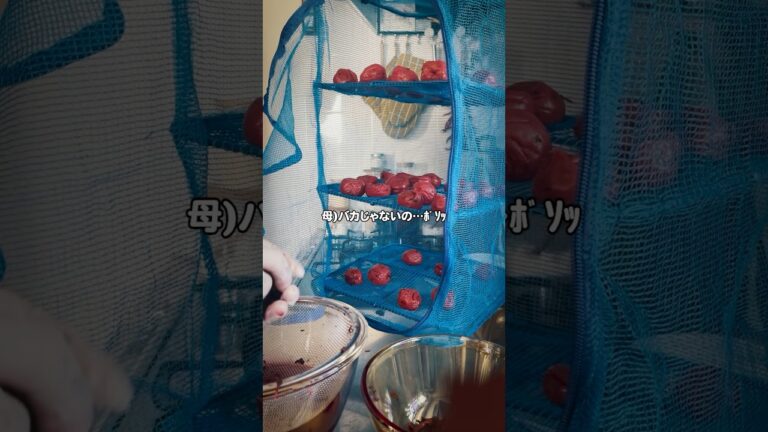 １日で治った風邪をさらに治す手づくり梅干し #家族の時間 #梅干し #風邪