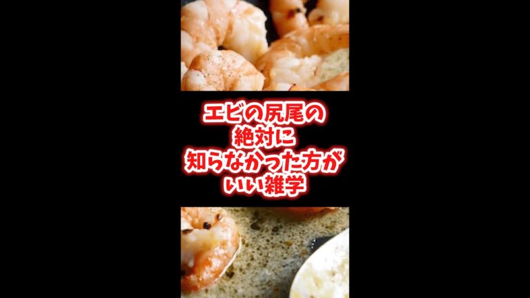 【マジ！？】エビの尻尾の絶対に知らない方がよかった食の雑学