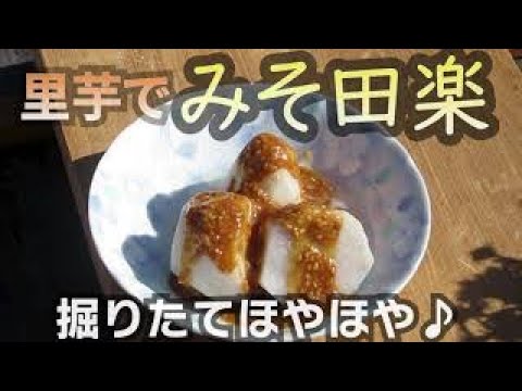【ついついお代わり！】里芋の味噌田楽を作る