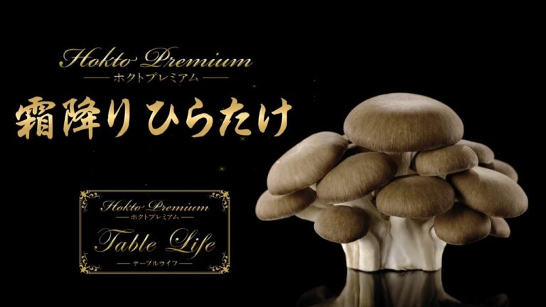 【12月】霜降りひらたけレシピ　クリームスープ／ローストビーフ