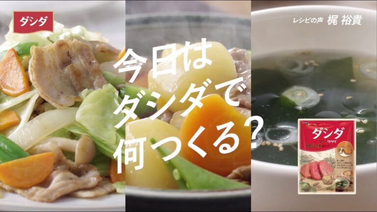 カンタン！がっつり肉だし ダシダ【今日はダシダで何つくる？篇】