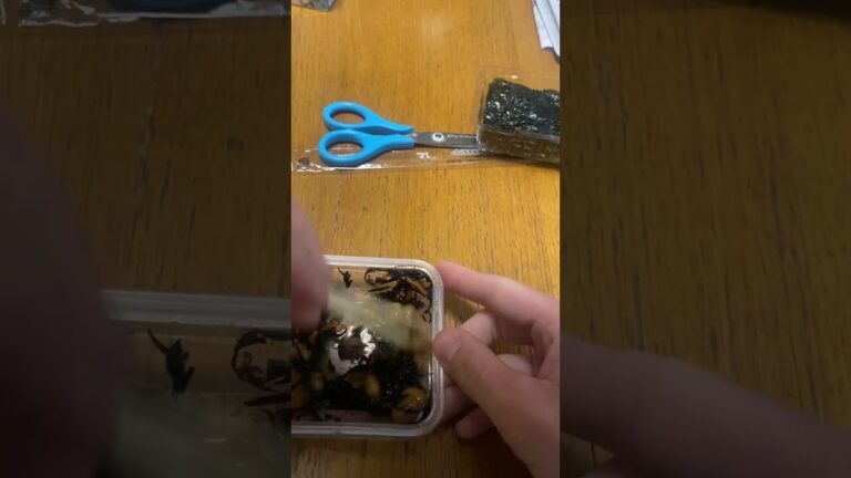 ひじきと大豆の煮物を箸で素早くかき混ぜる　#soy