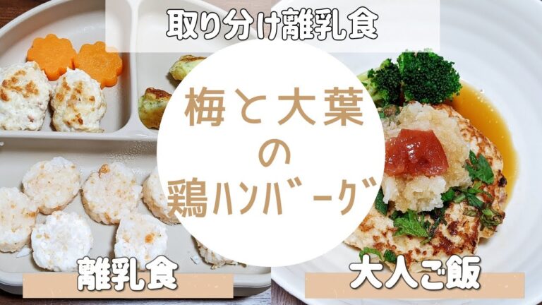 【取り分け離乳食 後期】ちょっぴりアレンジでOK！大人も子どもも美味しい和風ハンバーグ（つかみ食べ対応）