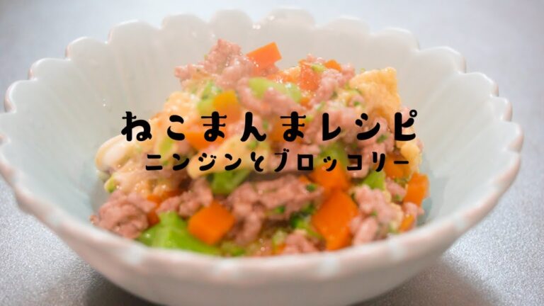 手つくり猫ご飯　鶏ひき肉と人参とブロッコリー