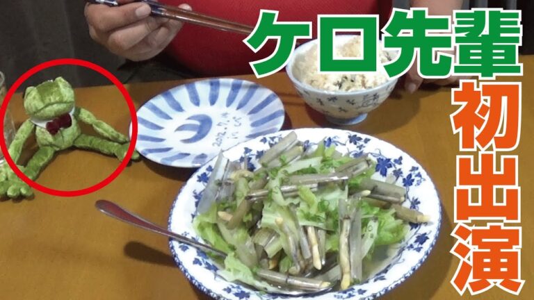 マテ貝を食べつくそう！