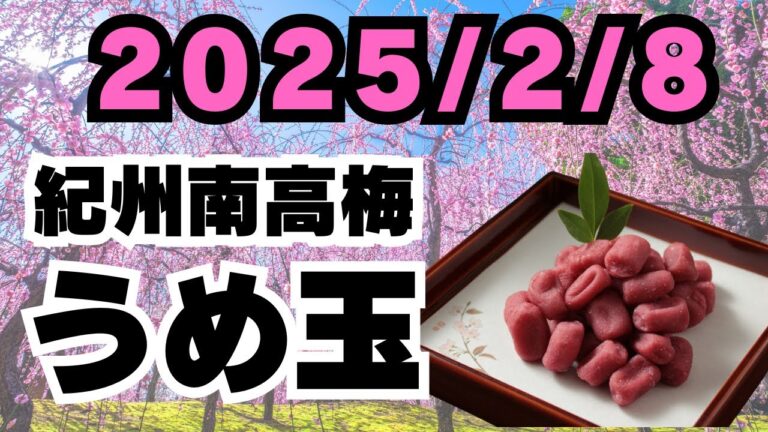 2025/2/8【豊洲市場】山茂／『紀州産梅 うめ玉』