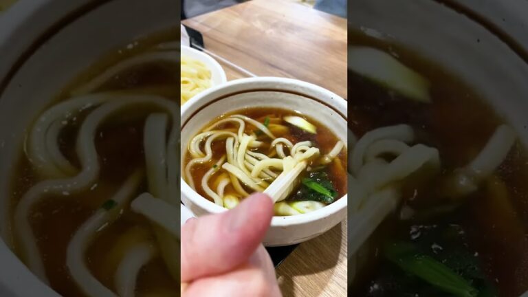 【埼玉県グルメ】肉汁うどん2枚盛り実食‼︎啜る音がシビれる‼︎埼玉と言ったらこのサービスエリアでしょ‼︎【ケンジ家のグルメ日常】japanese udon in SAITAMA!!