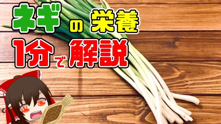 【ゆっくり解説】忙しい人のための『ネギ』の栄養を1分で解説 #shorts