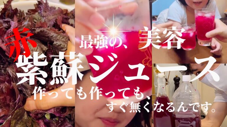 【美容と健康】赤紫蘇ジュースの作り方　簡単に作れて超絶美味しい！