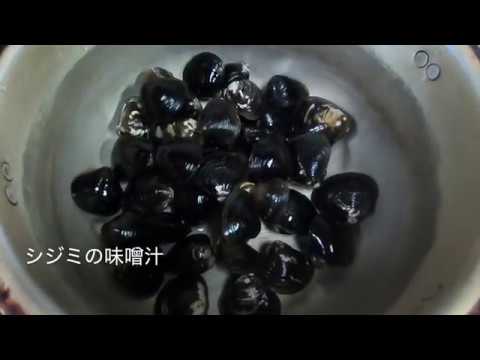 シジミの味噌汁