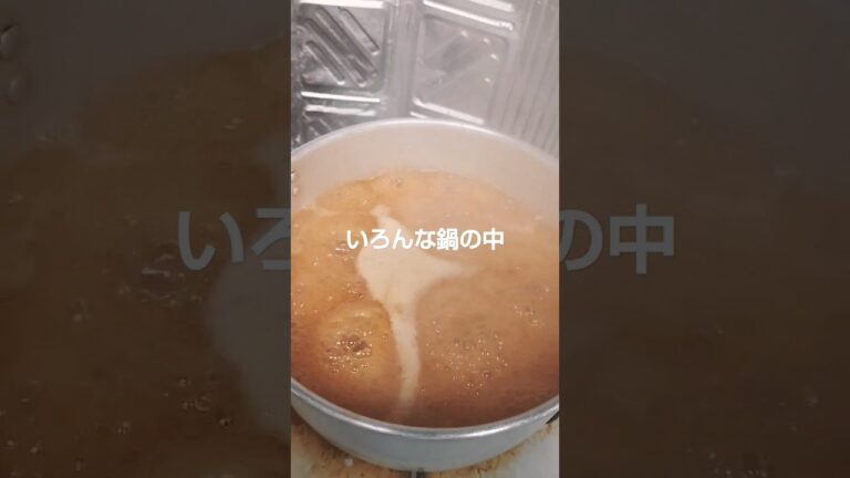 いろんな鍋の中 #shorts #おふくろの味 #田舎のお母ちゃん#料理
