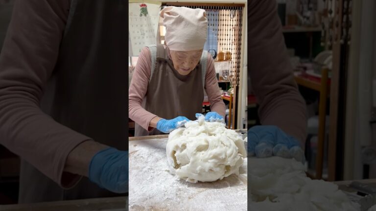 97歳おばあちゃんのみたらし団子&きなこ餅 和菓子 97 years old grandma’s rice dumplings! Dango 盛華堂 愛知グルメ