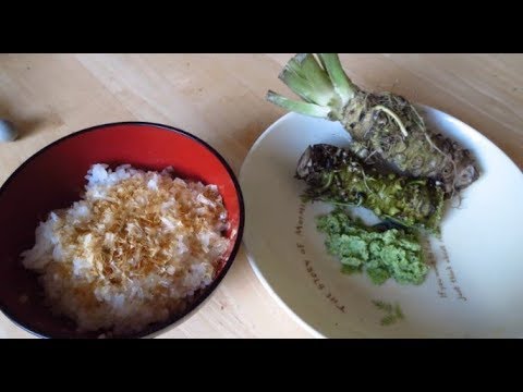 【孤独のグルメ】わさび丼