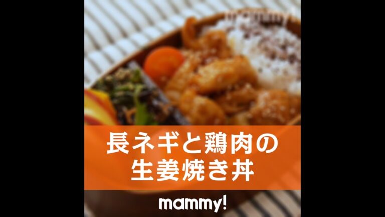 【お弁当】【簡単レシピ】鶏肉と長ネギの生姜焼き弁当の作り方