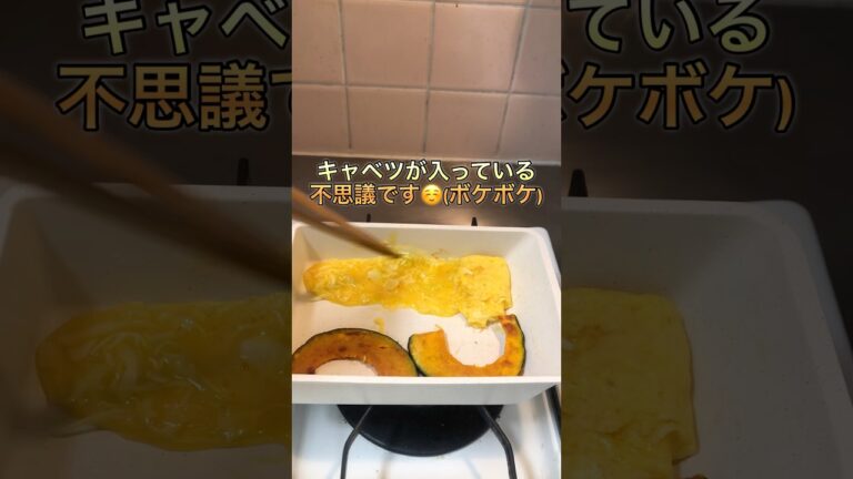 【お弁当作り】一人暮らしの詰め込み豆腐ハンバーグ弁当#一人暮らし #狭小キッチン#お弁当