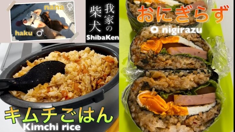簡単でおいしい！キムチごはん&おにぎらず【我が家の柴犬】Easy and delicious! Kimchi rice & Onigirazu