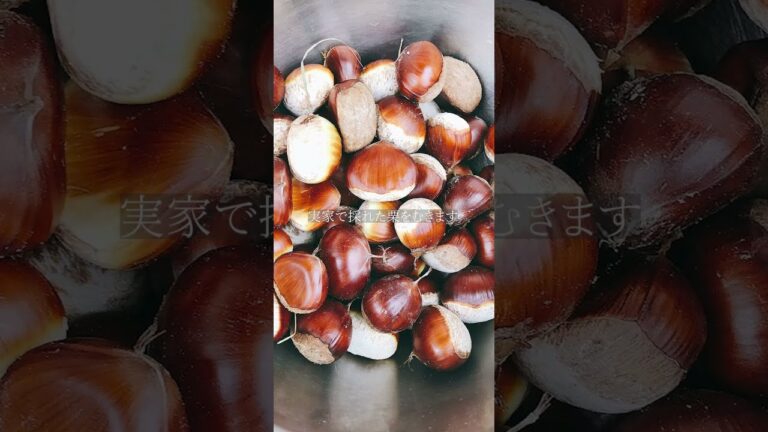 実家で採れた栗をひたすらむく動画　Peeling Chestnuts #shorts