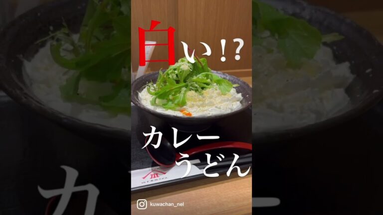 白いカレーうどん‼️山下本気うどんさんのこれぞ本気🔥#カレー#カレーライス#curry#白いカレーうどん#うどん