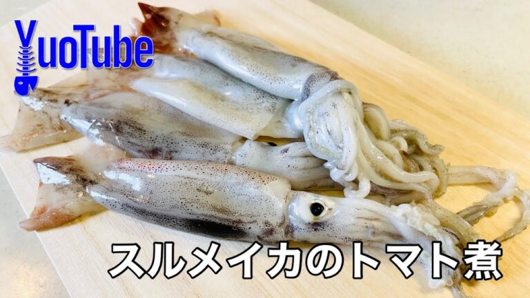 スルメイカのトマト煮