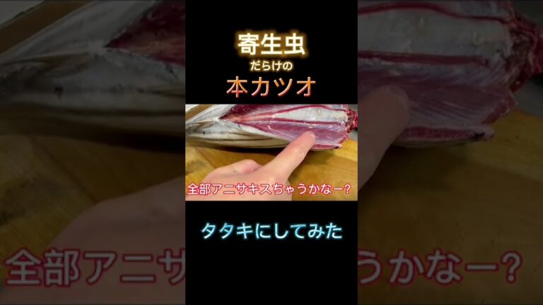 〈ショートver〉【閲覧注意】寄生虫だらけの〈本カツオ〉をタタキにして食べてみた♪