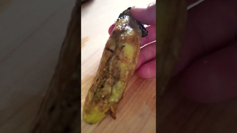 ナスとタコのサルピコン🍆🐙 爽やかな夏のピンチョス☀️🍉🌻🏊 #スペイン料理 #おうちごはん #前菜 #ピンチョス#shorts