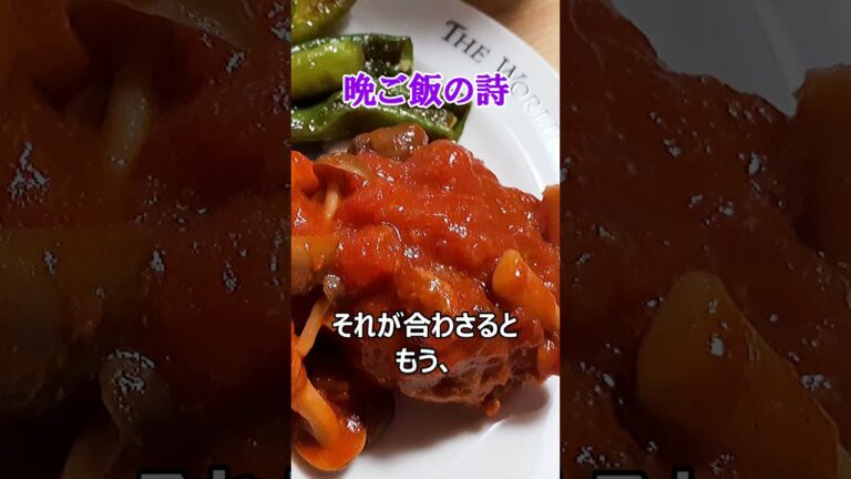 トマト煮込みハンバーグの詩【晩ご飯 No.53】