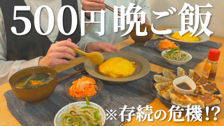 【2人分】物価高で過去イチ苦戦した500円晩ご飯【存続の危機】