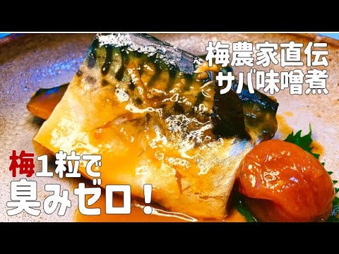 【梅農家では当たり前】＼サバの梅味噌煮／梅農家は魚の臭みを知らないんです。
