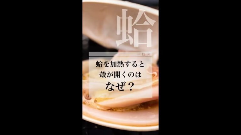 殻が開くのはなぜ？　鹿島灘　九十九里浜　はまぐり